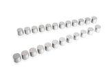 Tomei Valve Lifter Set RB26DETT +1.0mm Height (For TOMEI camshafts with up to 10.25mm Lift) TA307A-NS05A