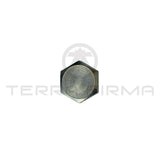 Nissan Skyline R32 R33 5-Speed MT Shift Control Checking Ball Plug (32835+A)