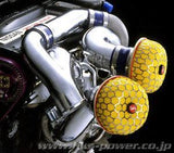 HKS Racing Chamber Intake Duct System For Nissan Skyline R33 R34 GTR 70008-AN012