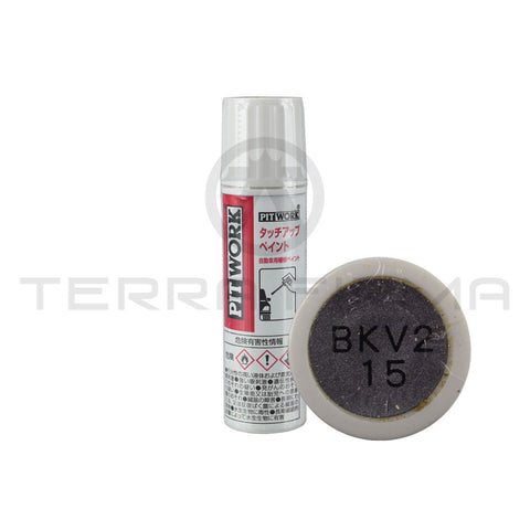 Nissan Skyline R34 Touch Up Paint KV2 Athlete Silver